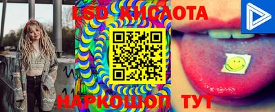 apvp Славгород