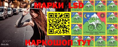 apvp Славгород
