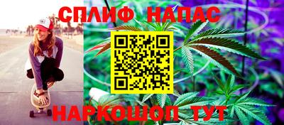 apvp Славгород