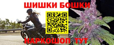apvp Славгород